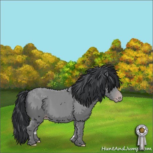 Horse Color:Classic Champagne Chinchilla 