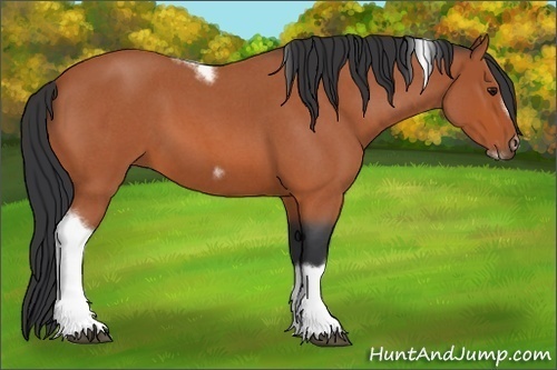 Horse Color:Bay Roan Tobiano Frame 