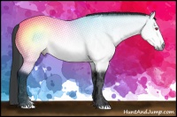 Horse Color:Bay Chinchilla Splash Frame  Brindle