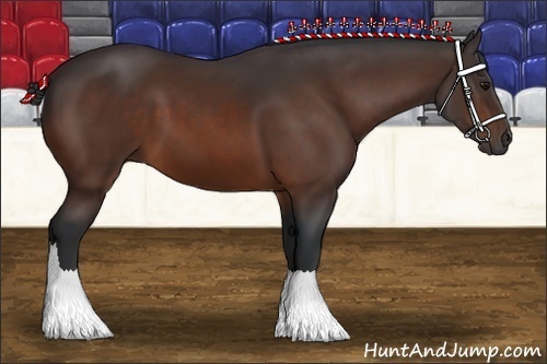 Horse Color: Bay 