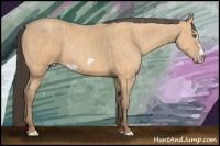 Horse Color:Amber Champagne Splash Frame  Brindle
