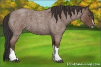 Horse Color:Bay Roan Splash Frame