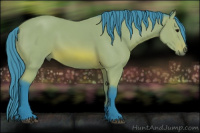 Horse Color:Watercolor Bay 