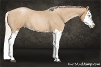 Horse Color:Silver Blue Roan Pearl Splash