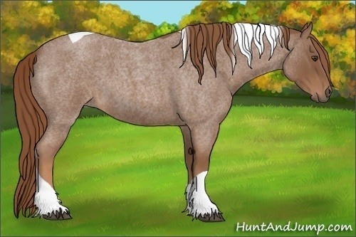 Horse Color: Red Roan Tobiano Rabicano 