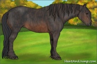 Horse Color:Brown Rabicano  Brindle