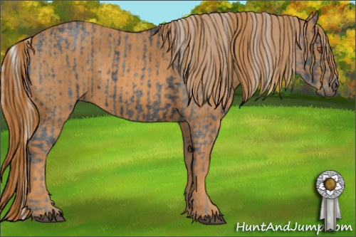 Horse Color: Silver Black Chinchilla  Brindle