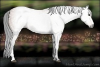 Horse Color:Gray Bay