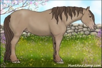 Horse Color:Classic Champagne 