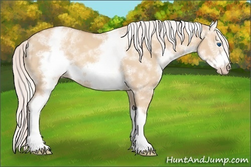 Horse Color: White Spotted Silver Classic Champagne Dun Splash Frame 