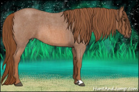 Horse Color:Liver Red Roan 