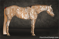 Horse Color:White Spotted Smoky Black Splash Frame Rabicano  Brindle