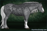 Horse Color:Silver Black Chinchilla 