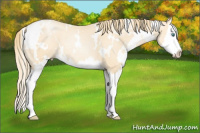 Horse Color:White Spotted Smoky Black Pearl Splash 