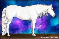 Horse Color:White Spotted Gold Cream Champagne Varnish 