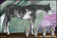 Horse Color:Brown Sabino 