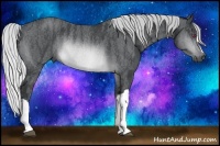 Horse Color:Silver Brown Chinchilla Rabicano  Brindle