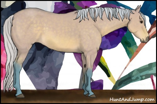 Horse Color: Watercolor Silver Bay Dun 