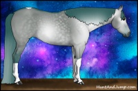 Horse Color:Gray Watercolor Smoky Grullo Tobiano Rabicano 