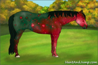 Horse Color:ERROR: UNKNOWN ANOMALY