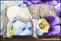 Horse Color:Smoky Creme Roan Dun 