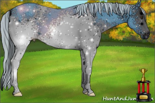 Horse Color: ERROR: UNKNOWN ANOMALY