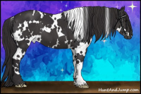 Horse Color:White Spotted Buckskin 