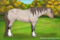 Horse Color:Brown Roan Dun Varnish 