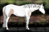 Horse Color:Gray Bay Pearl Splash Tobiano 