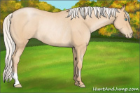 Horse Color:Silver Smoky Black Pearl Rabicano 