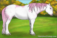 Horse Color:Gray Watercolor Blue Roan Splash Frame Appaloosa 