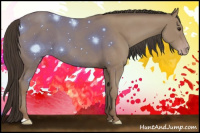 Horse Color:Classic Champagne 