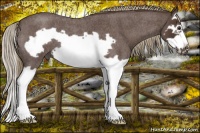 Horse Color:Liver Red Roan Splash Frame 