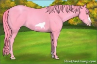 Horse Color:Watercolor Gold Champagne Frame 