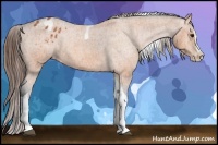 Horse Color:Bay Splash Tobiano Varnish  Brindle