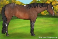 Horse Color:Brown Splash Tobiano Varnish  Brindle