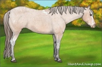 Horse Color:Bay Splash Tobiano Varnish  Brindle