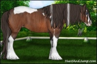 Horse Color:Bay Splash Tobiano Blanket  Brindle