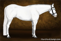 Horse Color:Cremello Dun Sabino