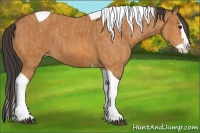 Horse Color:Bay Splash Tobiano Varnish  Brindle