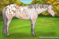 Horse Color:Bay Splash Tobiano Blanket  Brindle