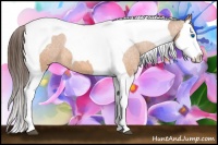 Horse Color:Bay Splash Tobiano Varnish  Brindle
