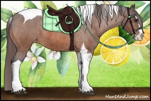 Horse Color:Bay Splash Tobiano Varnish  Brindle