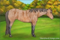 Horse Color:Bay Splash Tobiano Varnish  Brindle