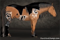 Horse Color:ERROR: UNKNOWN ANOMALY Brindle