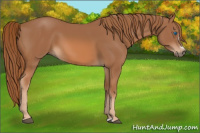 Horse Color:Chestnut Frame 