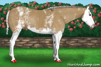Horse Color:White Spotted Silver Smoky Black Sabino Splash
