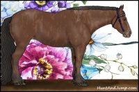 Horse Color:Bay Splash Tobiano Blanket  Brindle