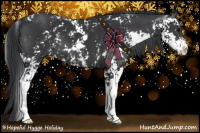 Horse Color:Black Sabino 