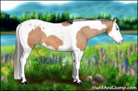 Horse Color:Bay Splash Tobiano Blanket  Brindle